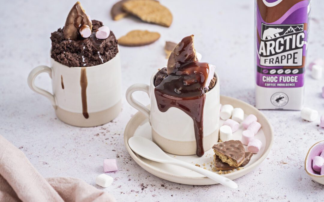 Chocolate Fudge S’mores Mug Cake