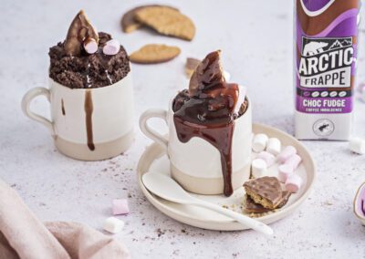 Chocolate Fudge S’mores Mug Cake