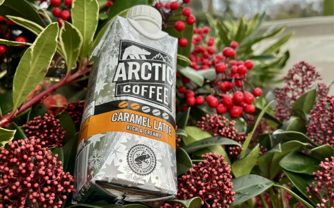 Arctic Coffee Caramel Latte in festive packaging against some festive berries